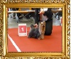  - BRABO DOG SHOW  2013 47ste ANTWERPEN 14 APRIL INTERNATIONALE